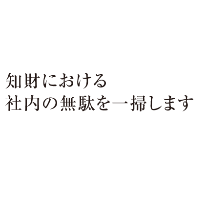 知財における社内の無駄を一掃します