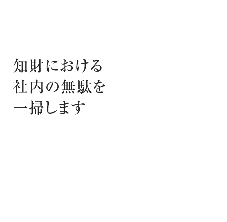 知財における社内の無駄を一掃します